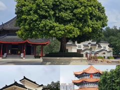 -广东圆玄道观