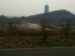 android_upload_pic-永定河休闲森林公园