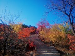 -北京西山国家森林公园