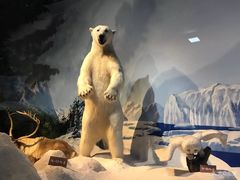 -陕西自然博物馆