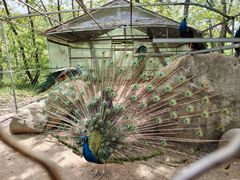 -丹东市五龙山风景区