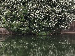 -尚贤河湿地
