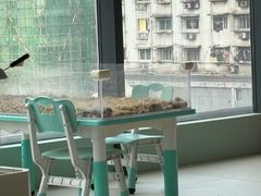 -怪兽屋·羊驼·猫咖·狗咖(俊华广场店)