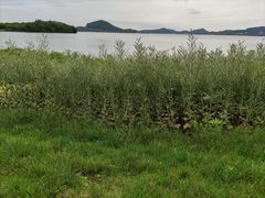 -东钱湖小普陀景区