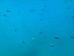 -亚龙湾海底世界