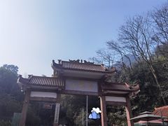 -缙云山景区