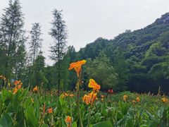 -重庆彩云湖湿地公园