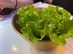 -杨记齐齐哈尔烤肉(总店)