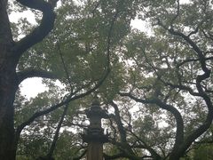 -普陀山风景名胜区-法雨禅寺