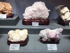 -湖南省地质博物馆