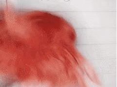 -海底捞火锅(亲子主题北金鹰店)