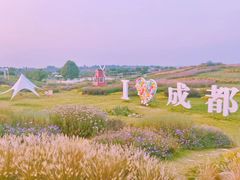 -空港花田景区