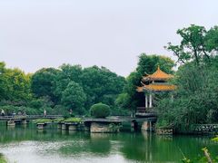 -雨湖公园