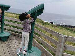 -企鹅岛