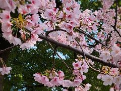 -静安雕塑公园
