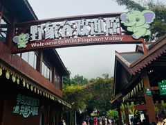 -野象谷景区