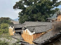 -杨家堂村