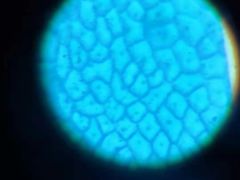 -斯坦星球AI编程·机器人科创·科学实验·信奥·思维·STEM·乐高·竞赛考级(长宁虹桥大融城荟聚中心)