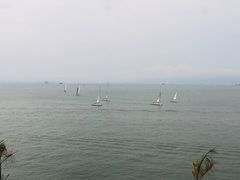 -七鲜渔港美食餐厅(巽寮湾海景店)