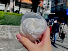 -洪馨椰子