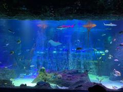 -沈阳海洋探索中心