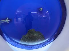 -萌宠奇缘(荣鼎店)