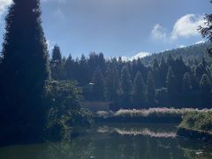 -武陵山森林公园