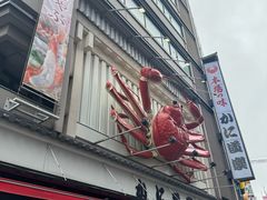 -蟹道乐(道顿堀本店)