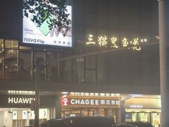 -三猫黑鱼花(南大店)