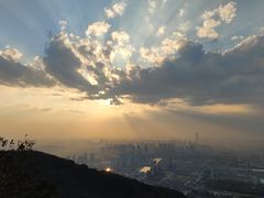 -杭州半山国家森林公园