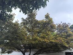 -王阳明故居
