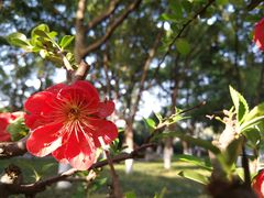 -荆川公园