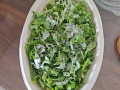 -油梨树 AVOCADO TREE(亮马桥店)