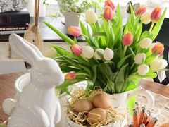 -同济大学(嘉定校区)