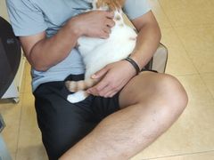 -沐沐家宠物(成寿寺店)