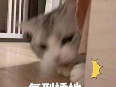 -必胜客(福州永嘉PH店)