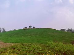 -白鹭湾湿地公园