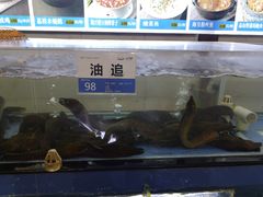 -欢乐海岸美食联盟