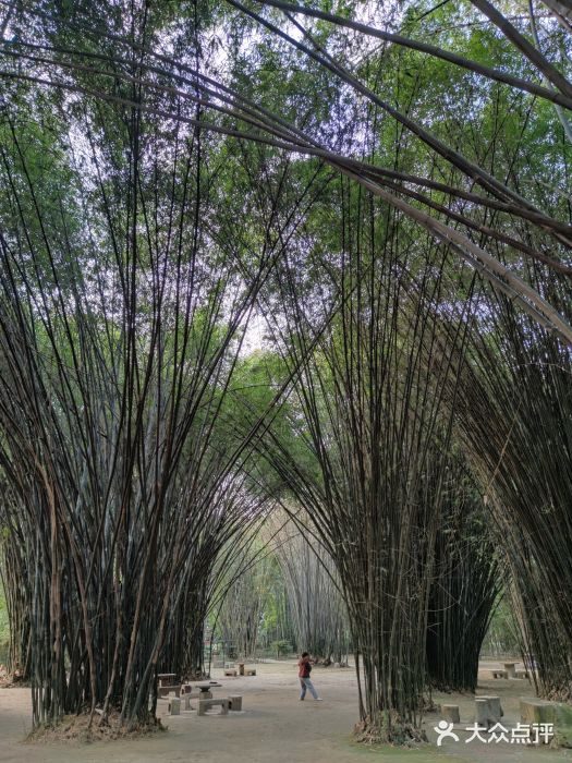 望江楼公园图片