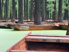 -渌洋湖湿地公园