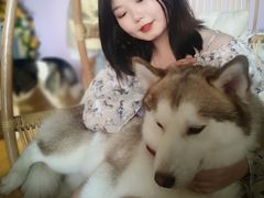 -Husky Go! 哈士奇体验馆·宠物咖啡厅狗咖