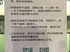 -猫咪博物馆(顶澳仔猫街店)