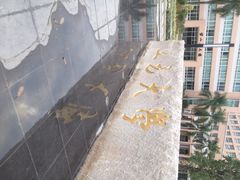 五邑大学-五邑大学