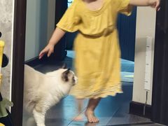 -猫大福·Fortune Cat猫舍(百子湾店)