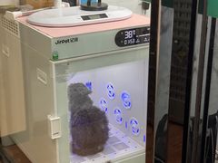 -瑞派紫金宠物医院24小时·骨科·中兽医·重症转诊中心(番禺大石院)