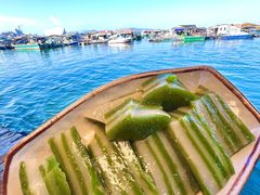 -蓝湾碧波·老字号·疍家非遗海上餐厅