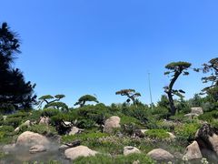 -罗红摄影艺术馆