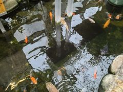 -上海大自然野生昆虫馆(东方明珠·爬宠昆虫探索中心)