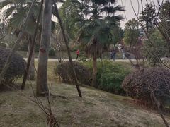 -枫香湖儿童公园