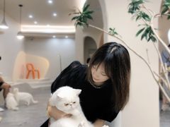 -More Fun猫咖 二十只万元加菲主题